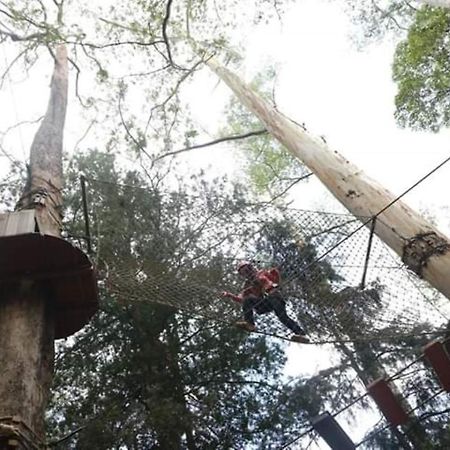 Lawu Forest Camp Sarangan Exterior photo