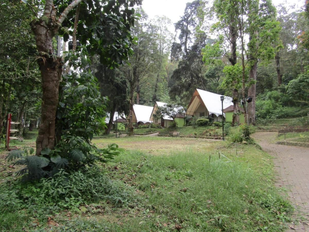 Lawu Forest Camp Sarangan Exterior photo