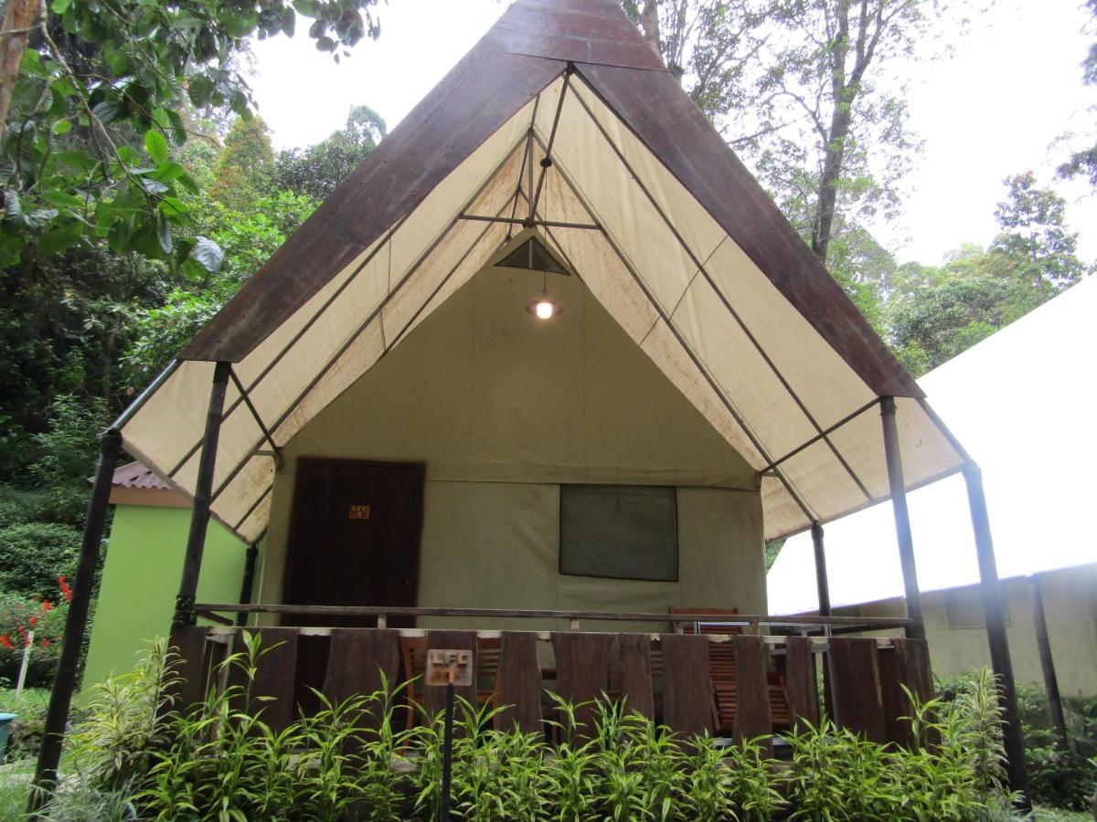 Lawu Forest Camp Sarangan Exterior photo