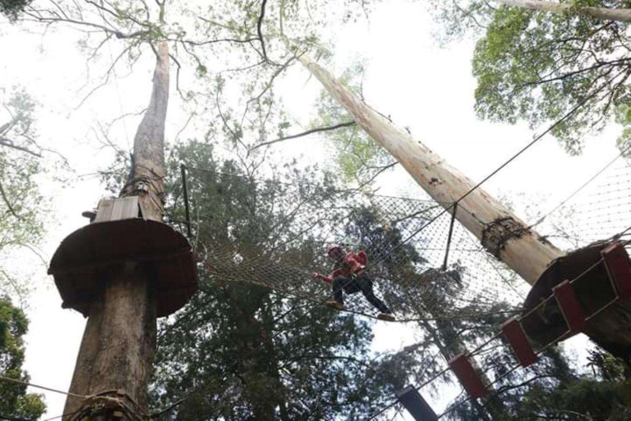 Lawu Forest Camp Sarangan Exterior photo