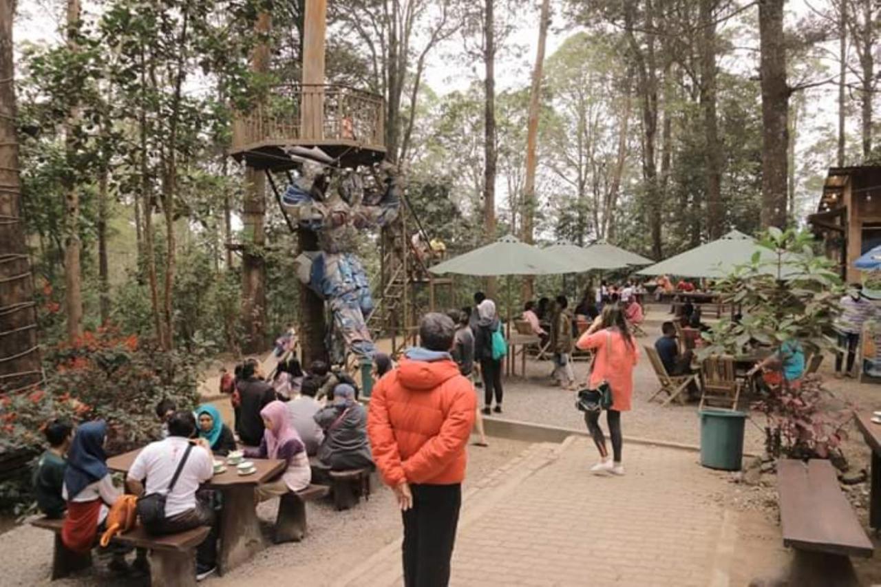 Lawu Forest Camp Sarangan Exterior photo