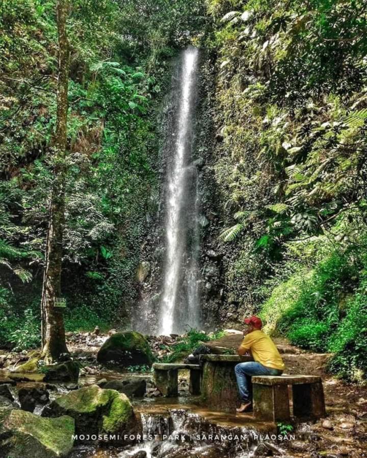 Lawu Forest Camp Sarangan Exterior photo